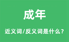 成年的近义词和反义词是什么_成年是什么意思?