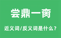 尝鼎一脔的近义词和反义词是什么_尝鼎一脔是什么意思?