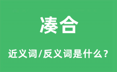 凑合的近义词和反义词是什么_凑合是什么意思?