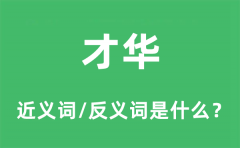 才华的近义词和反义词是什么_才华是什么意思?