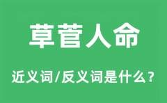 <b>草菅人命的近义词和反义词是什么_草菅人命是什么意思?</b>