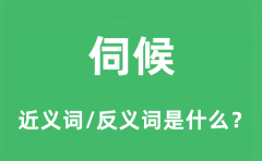 伺候的近义词和反义词是什么_伺候是什么意思?