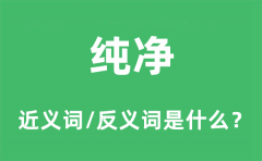 纯净的近义词和反义词是什么_纯净是什么意思?
