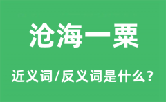 沧海一粟的近义词和反义词是什么_沧海一粟是什么意思?