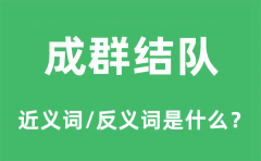 成群结队的近义词和反义词是什么_成群结队是什么意思?