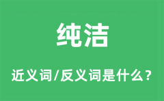 纯洁的近义词和反义词是什么_纯洁是什么意思?