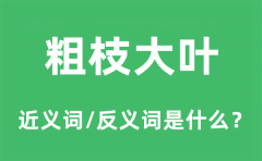 粗枝大叶的近义词和反义词是什么_粗枝大叶是什么意思?