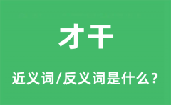 才干的近义词和反义词是什么_才干是什么意思?