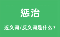 惩治的近义词和反义词是什么_惩治是什么意思?
