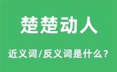 楚楚动人的近义词和反义词是什么_楚楚动人是什么意思?