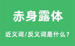 赤身露体的近义词和反义词是什么_赤身露体是什么意思?