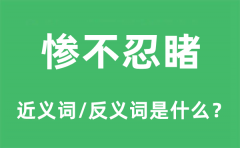 惨不忍睹的近义词和反义词是什么_惨不忍睹是什么意思?