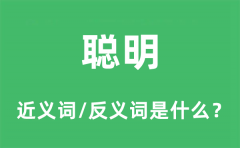 聪明的近义词和反义词是什么_聪明是什么意思?