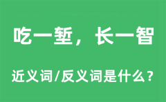 吃一堑，长一智的近义词和反义词是什么_吃一堑，长一智是什么意思?