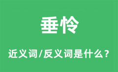 垂怜的近义词和反义词是什么_垂怜是什么意思?