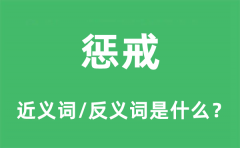 惩戒的近义词和反义词是什么_惩戒是什么意思?