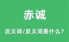 赤诚的近义词和反义词是什么_赤诚是什么意思?