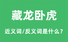 藏龙卧虎的近义词和反义词是什么_藏龙卧虎是什么意思?