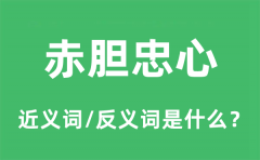 赤胆忠心的近义词和反义词是什么_赤胆忠心是什么意思?