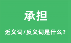承担的近义词和反义词是什么_承担是什么意思?