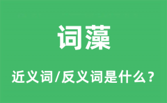 词藻的近义词和反义词是什么_词藻是什么意思?