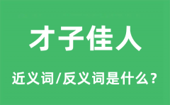 才子佳人的近义词和反义词是什么_才子佳人是什么意思?