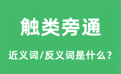触类旁通的近义词和反义词是什么_触类旁通是什么意思?