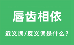 唇齿相依的近义词和反义词是什么_唇齿相依是什么意思?