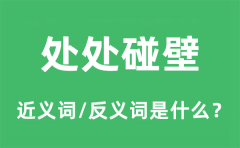 处处碰壁的近义词和反义词是什么_处处碰壁是什么意思?