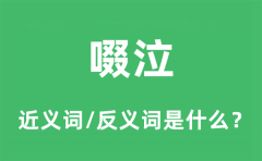 啜泣的近义词和反义词是什么_啜泣是什么意思?