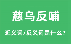 慈乌反哺的近义词和反义词是什么_慈乌反哺是什么意思?