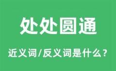 处处圆通的近义词和反义词是什么_处处圆通是什么意思?