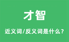 才智的近义词和反义词是什么_才智是什么意思?