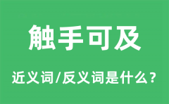 触手可及的近义词和反义词是什么_触手可及是什么意思?