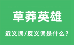 草莽英雄的近义词和反义词是什么_草莽英雄是什么意思?