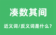 凑数其间的近义词和反义词是什么_凑数其间是什么意思?