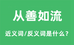 从善如流的近义词和反义词是什么_从善如流是什么意思?