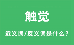 触觉的近义词和反义词是什么_触觉是什么意思?