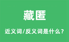 藏匿的近义词和反义词是什么_藏匿是什么意思?
