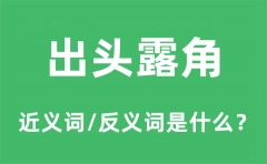出头露角的近义词和反义词是什么_出头露角是什么意思?