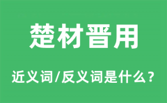 <b>楚材晋用的近义词和反义词是什么_楚材晋用是什么意思?</b>