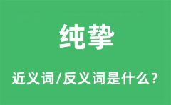 纯挚的近义词和反义词是什么_纯挚是什么意思?