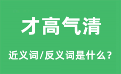 <b>才高气清的近义词和反义词是什么_才高气清是什么意思?</b>