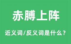 赤膊上阵的近义词和反义词是什么_赤膊上阵是什么意思?