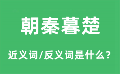 朝秦暮楚的近义词和反义词是什么_朝秦暮楚是什么意思?