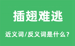 插翅难逃的近义词和反义词是什么_插翅难逃是什么意思?
