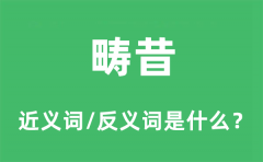 畴昔的近义词和反义词是什么_畴昔是什么意思?