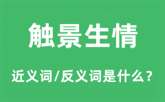 触景生情的近义词和反义词是什么_触景生情是什么意思?