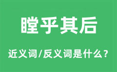 瞠乎其后的近义词和反义词是什么_瞠乎其后是什么意思?