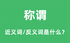 称谓的近义词和反义词是什么_称谓是什么意思?